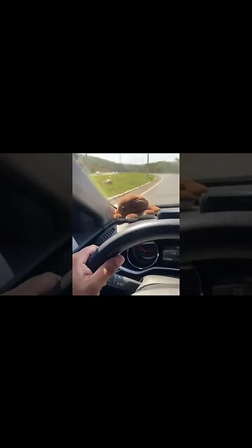 Onix turbo no GNV rodando mais de 100 mil km sem problemas #shorts