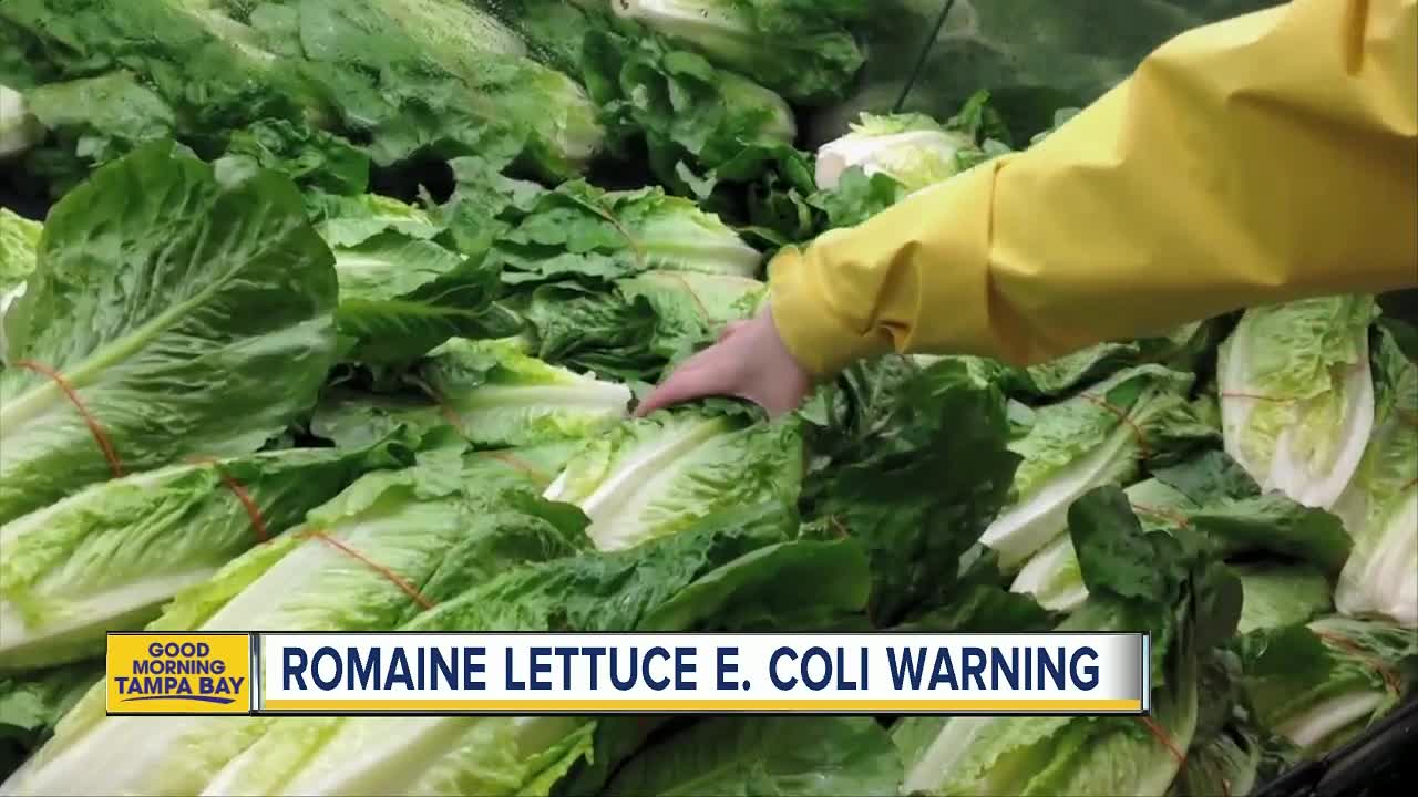 Romaine lettuce still on store shelves in Tampa Bay, hours after CDC recall linked to E. coli