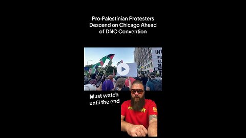 Pro-Palestinian Protesters Descend Upon City of Chicago Ahead of DNC Convention