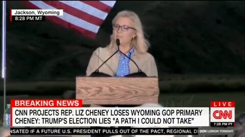 Liz Cheney Compares Herself To Ulysses S Grant