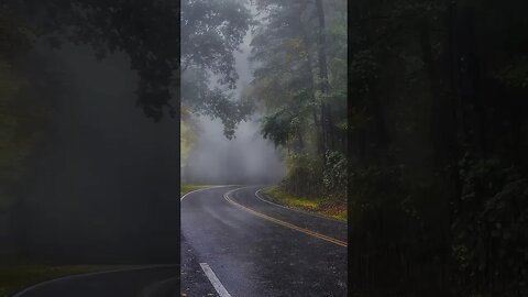 The soft and rhythmic sound of raindrops can feel the beauty and magic of nature.