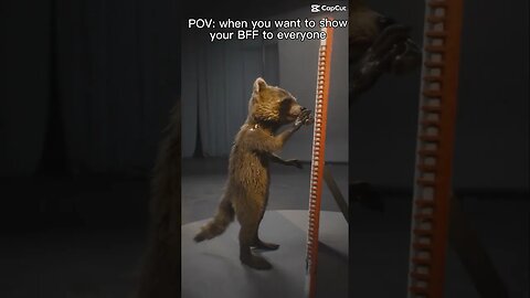 #when #rocket #is #your #best #friend #gaurdiansofthegalaxy #shorts #funny #lol #fitness #muscle #oh
