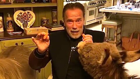 The Terminator says "Screw Your Freedom", Russian Drug Dealers Took Hunter's Laptop, NZ Shutdown
