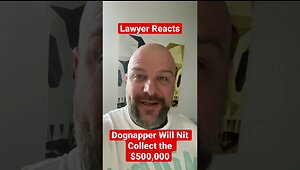 Dognapper sues Lady Gaga. #ladygaga #lawyerreacts #antilawyerlawyer #antilawyer