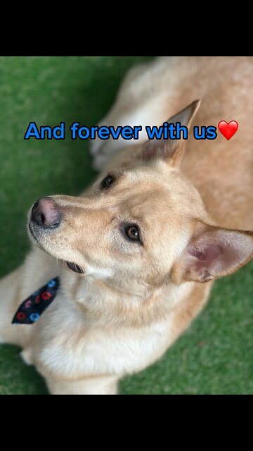 Axle is a Tate Student💪🏻❤️