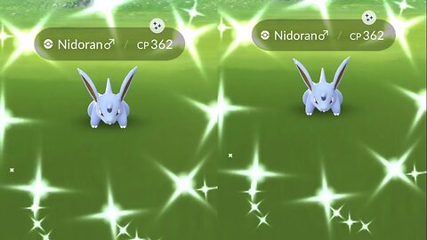 My Reaction to Shiny Nidoran M