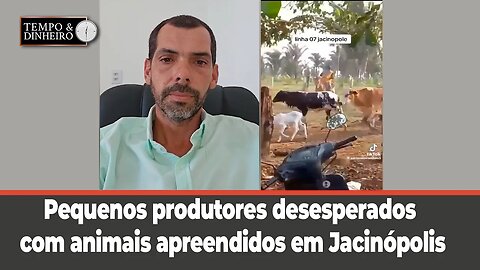 Produtores desesperados com animais apreendidos em Jacinópolis, RO. Veja o que diz Dr.Vinicius Borba