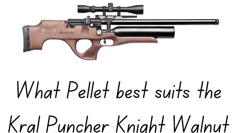 What Pellet best suits the kral puncher Knight walnut