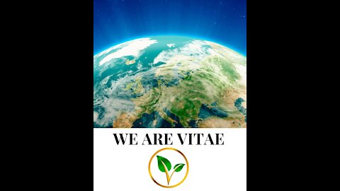 Vitae Global Statement 6