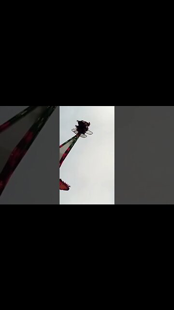 Funfair ride #reels #shorts #bharatsamgi #southall #funfair