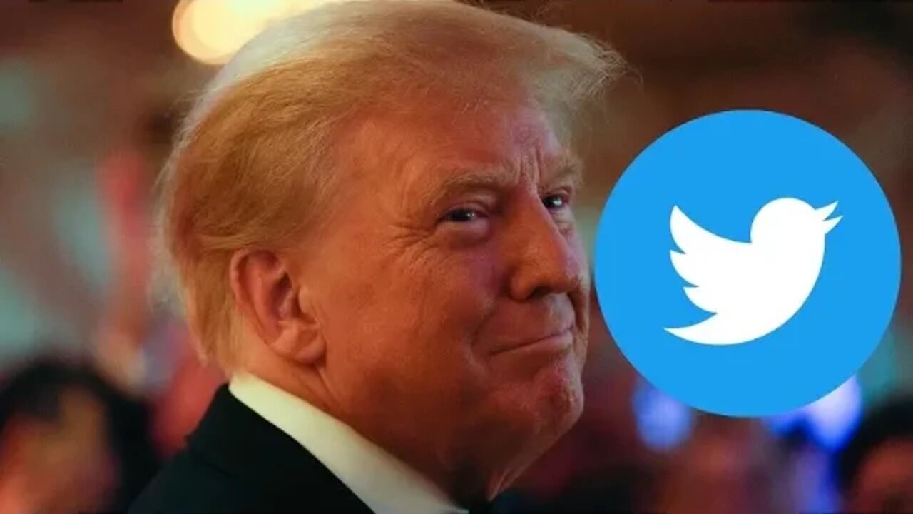 TRUMP is back on Twitter