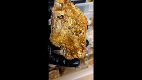 Plume agate!