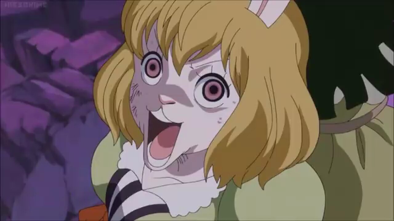 one piece - carrot disguise into stuffed bunny