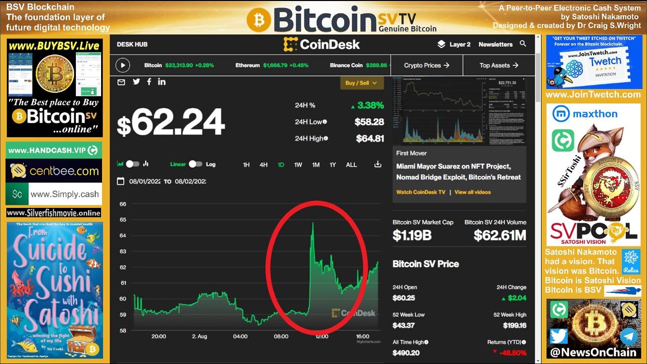 BSV Price Pump!!!