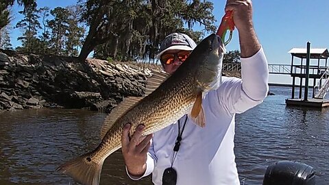 Big Redfish on a Slow Day