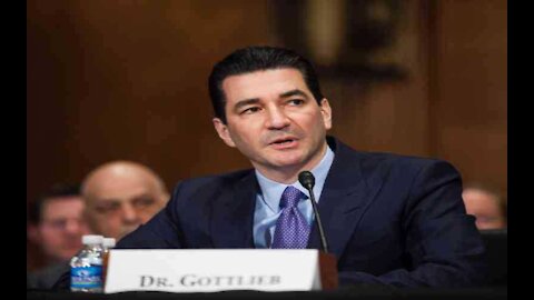 Former FDA Commissioner: US Travel Restrictions Over New COVID Strain 'Counterproductive'