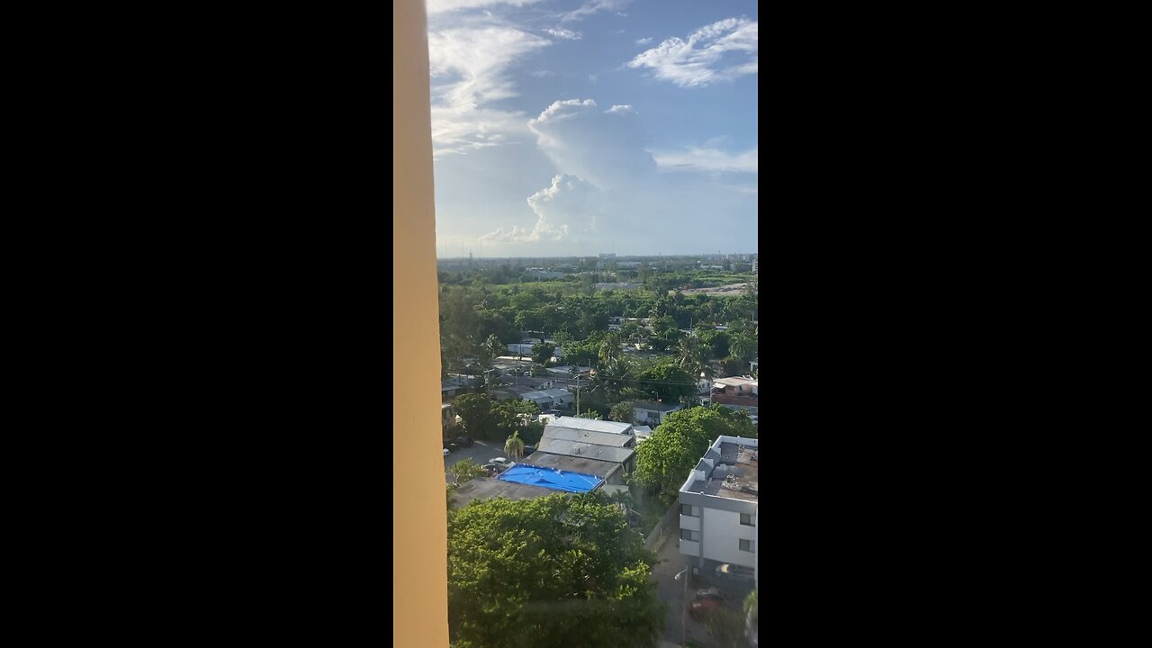 Miami view