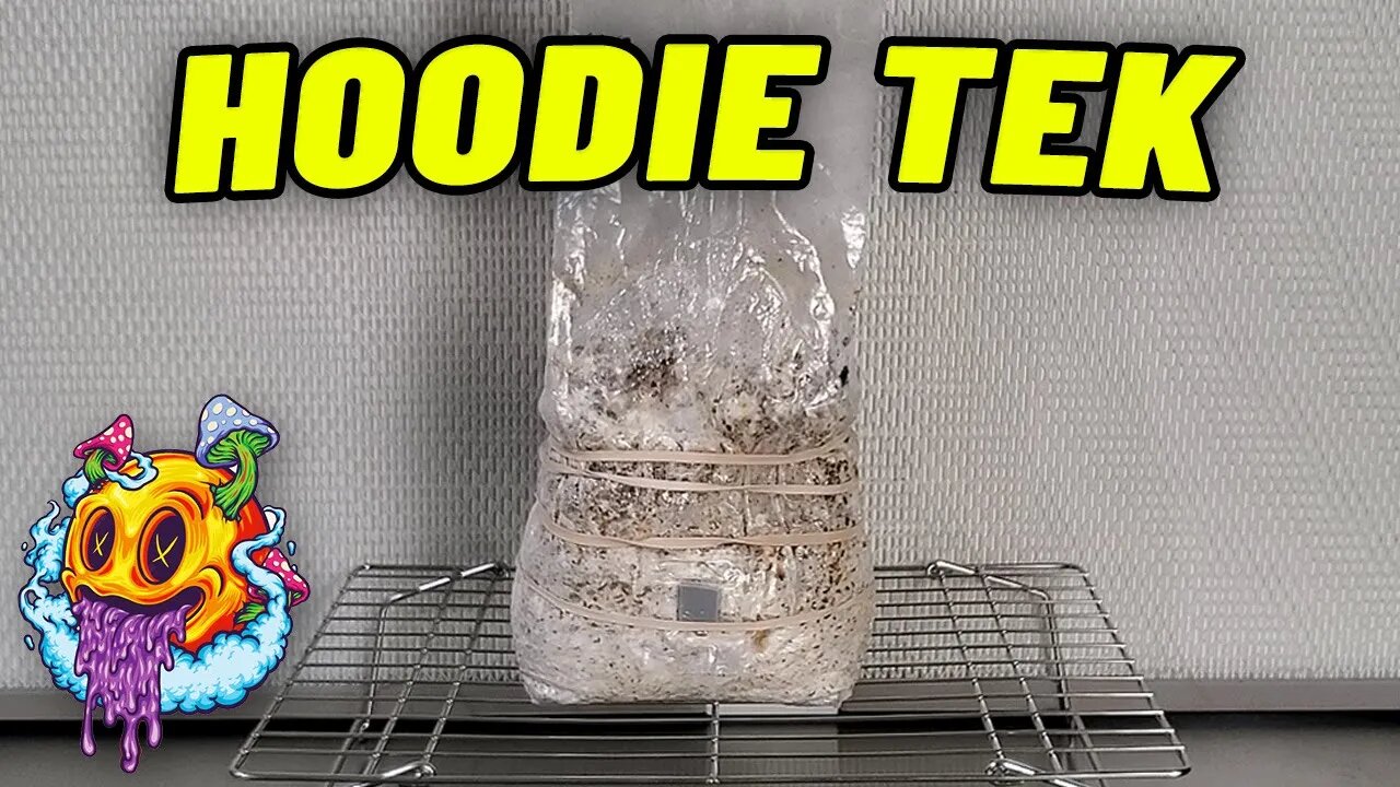 All In One Mushroom Grow Bag "HOODIE TEK" Update - S2 EP5