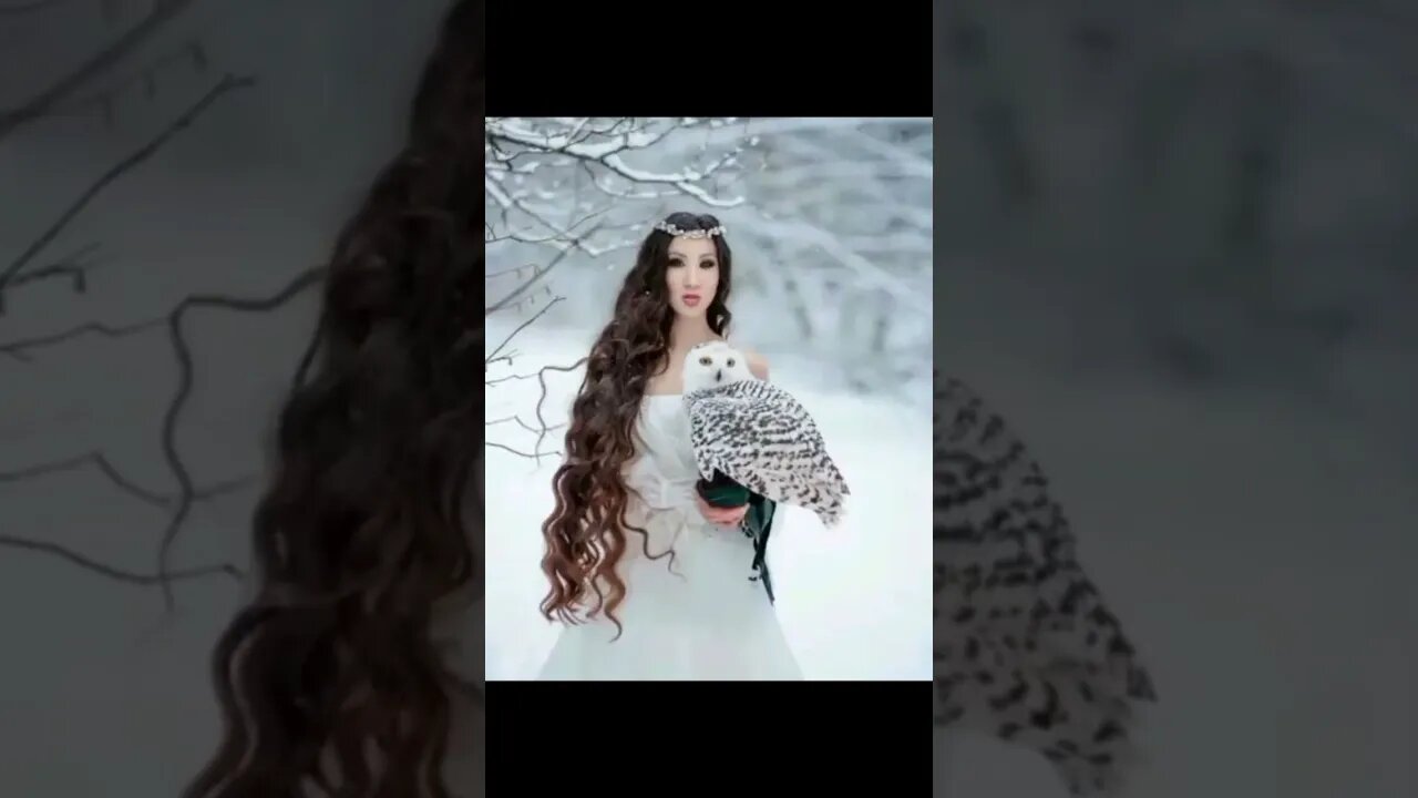 owl today