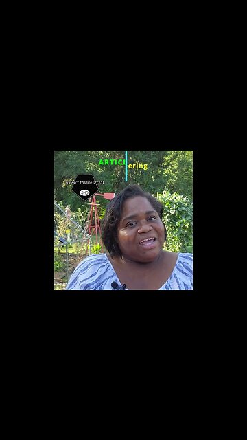 #solar #shade From The #sun , What The What? - #catshobbycorner