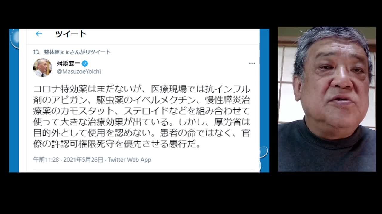 2021.06.02リチャード・コシミズ新型コロナウイルス戦争287