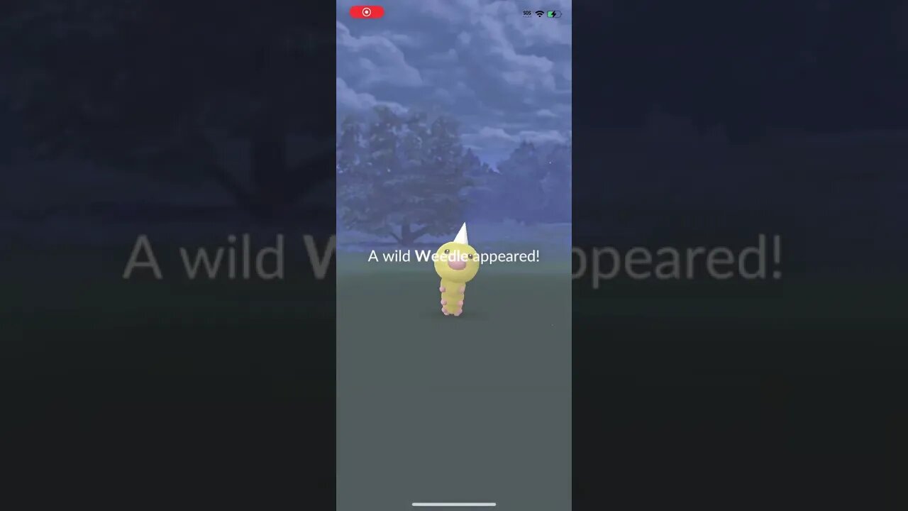 Shiny Weedle