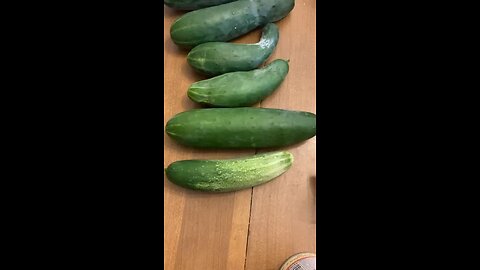 These are from our garden