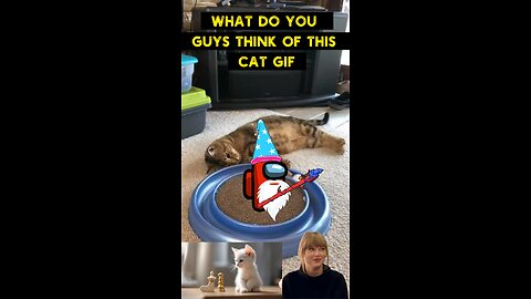 Cute Cat Gif