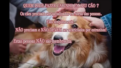 QUEM PODE ACARICIAR MEU CÃO? ????