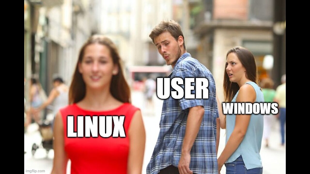 Win11 vs Linux? Live Stream