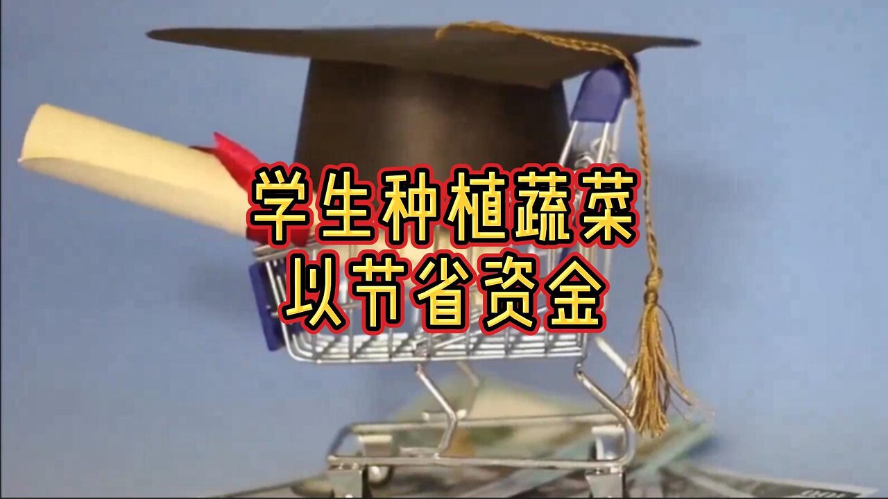 必看:学生种植蔬菜以节省资金