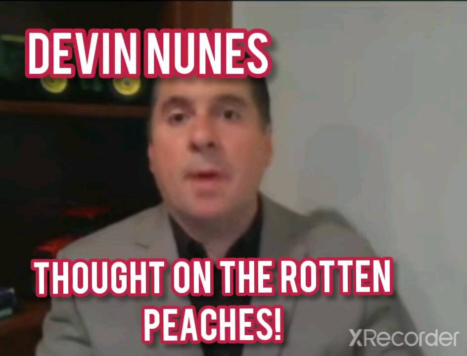 NUNES, THOUGHTS ON THE ROTTEN PEACHES.