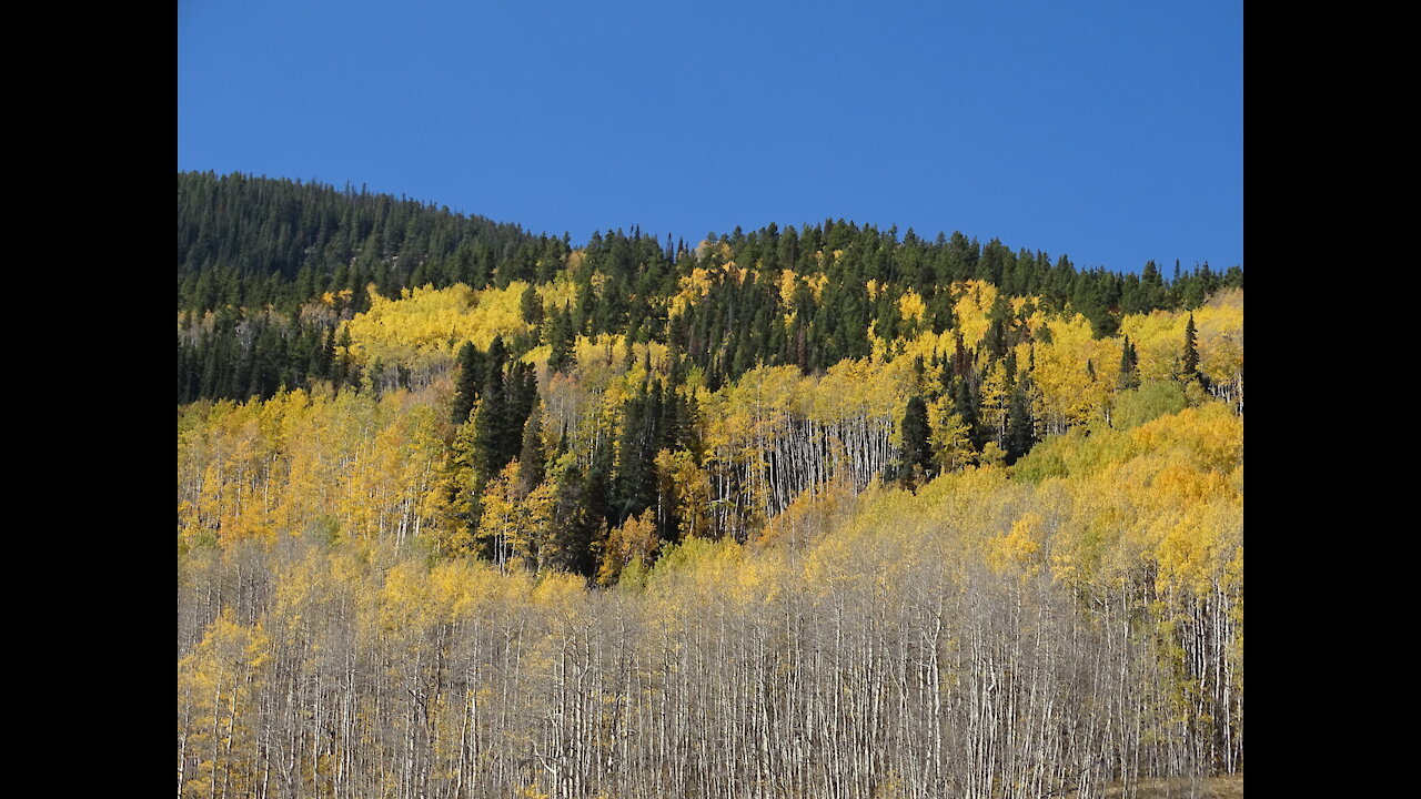 Crested Butte Brush Creek Hike Autumn 2020