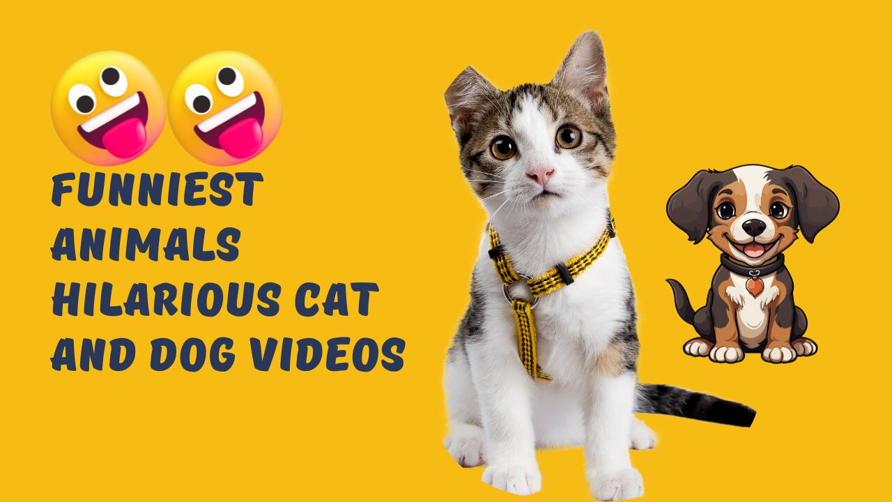 Funniest animals hilarious cat and dog videos