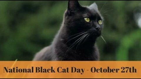 Quick Quordle of the Day for October 27, 2022