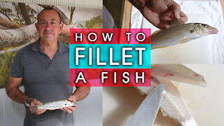 How to Fillet a Fish - ( BONE FREE ! )