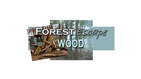 Forest Escape Cutting Firewood, Gator Hauling Wood, Splitting Wood and Fingers, Storm Mud in the Run