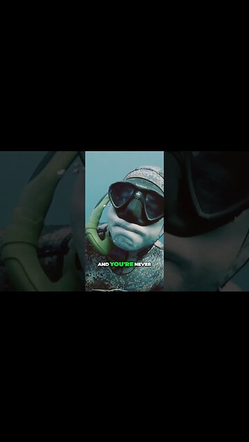 The Relentless Urge of the Sea #fishing #hunting #spearfishing