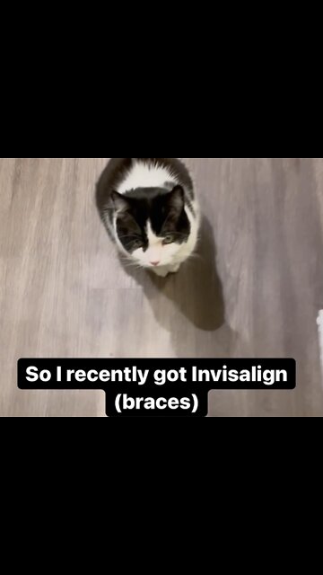 Toothless cat gives smart dental advice!