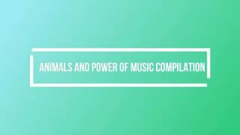 ANIMALS AND POWER OF MUSIC COMPILATION