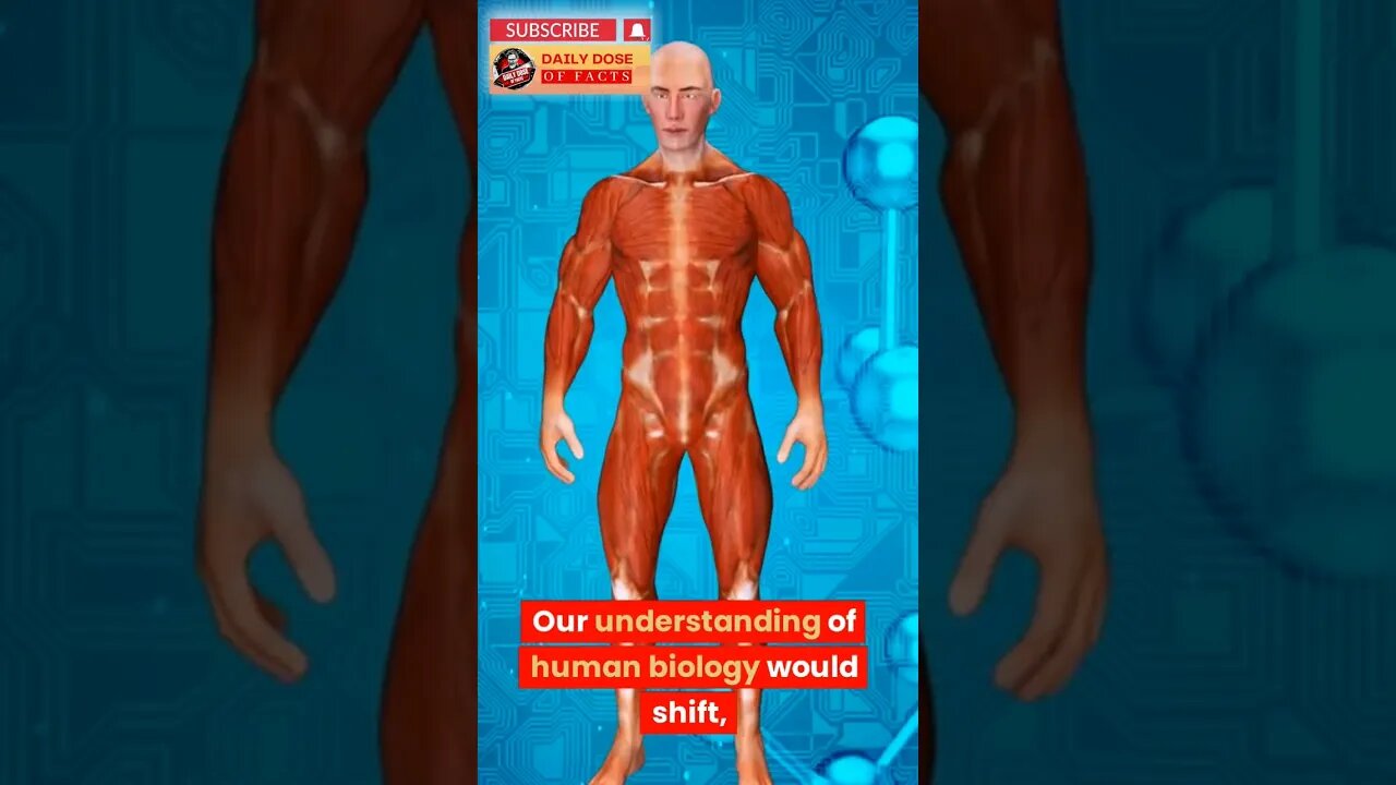 What If humans Had wings #shorts #shortsfeed #shortsvideo #youtubeshorts #facts #didyouknow #viral