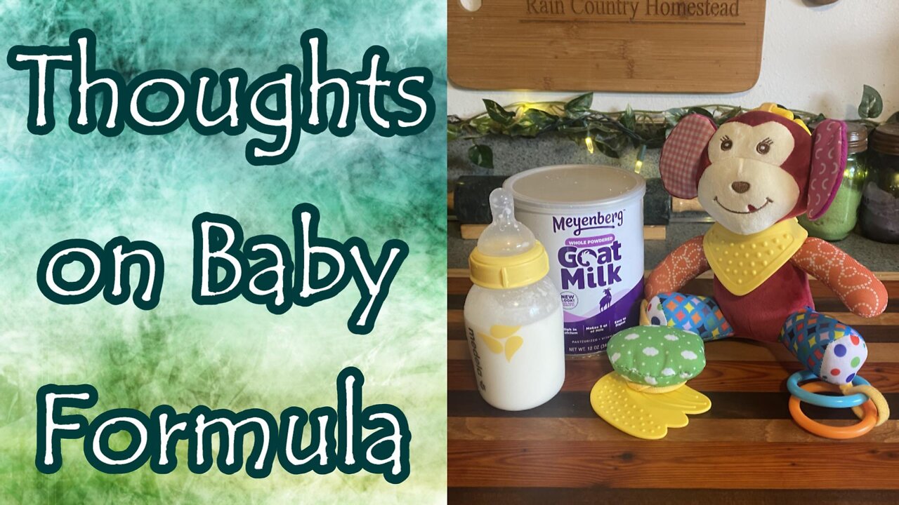 Thoughts On Baby Formula