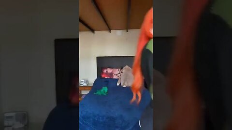 Tiktok Videos | Tavernoftinst | #fyp #short #tiktok #tiktokdance