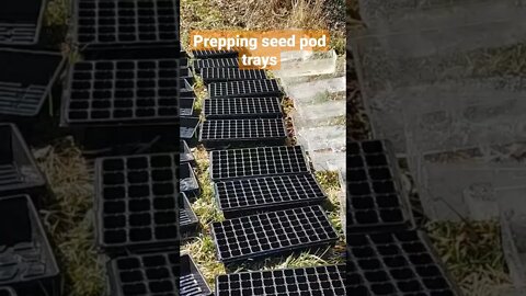 prepping seed pod trays for the grow room #garden #growroom #farming. #microgreens