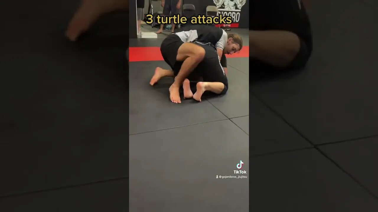 3 turtle attacks 🐢 #bjj #martialarts #mma