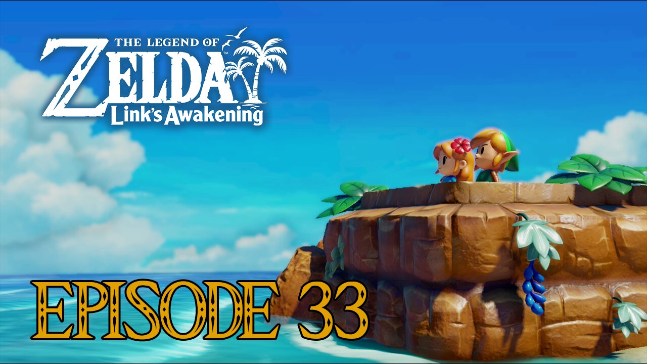 The Legend of Zelda: Link's Awakening - Part 33