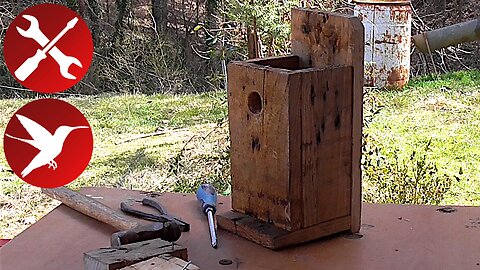 Bird Nest Box - Cleaning and Preparing for New Season - After Two Years