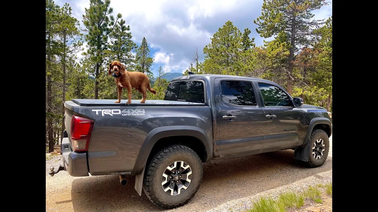 How To Handle Potty Training On Long Road Trips: Turning Your Tacoma Into A Mobil Porta Potty