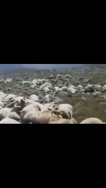 Bio Attack/Trib Preview/Great Reset…to many to choose from