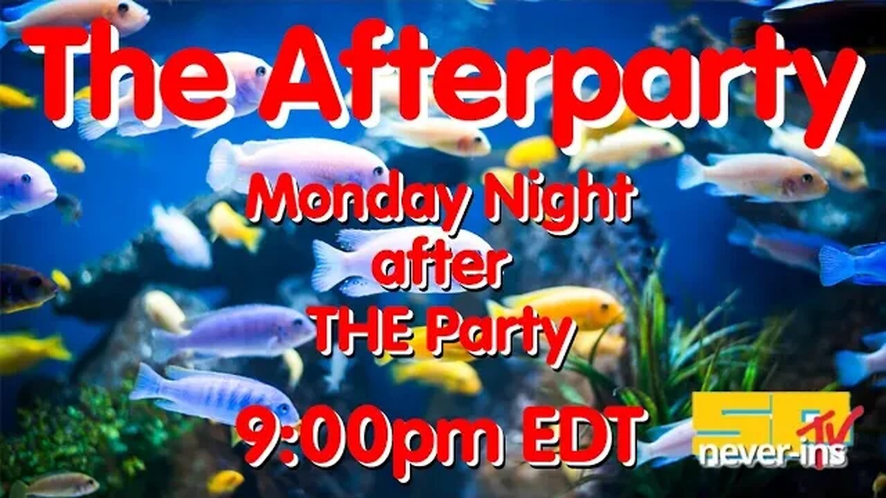 The Gosh Darn Afterparty w/ The Gosh Darn Never-ins!